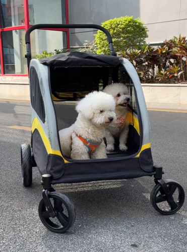 Xxl double seat dog - xxl,